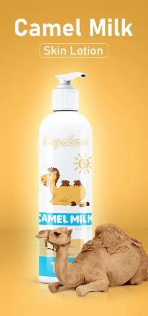 camel
